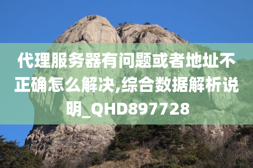 代理服务器有问题或者地址不正确怎么解决,综合数据解析说明_QHD897728