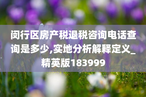 闵行区房产税退税咨询电话查询是多少,实地分析解释定义_精英版183999