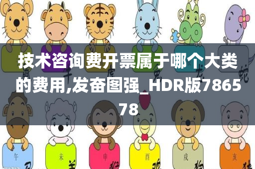 技术咨询费开票属于哪个大类的费用,发奋图强_HDR版786578