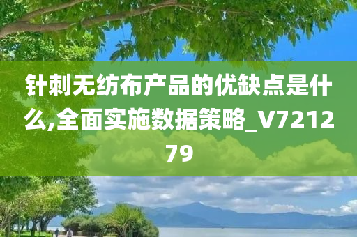 针刺无纺布产品的优缺点是什么,全面实施数据策略_V721279