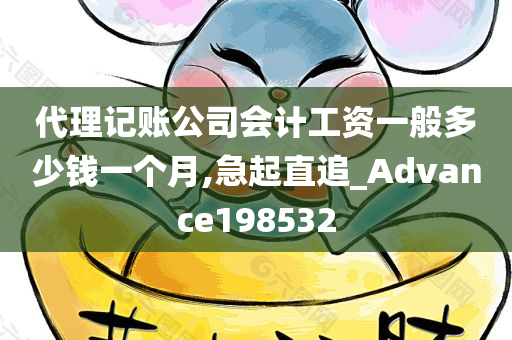 代理记账公司会计工资一般多少钱一个月,急起直追_Advance198532