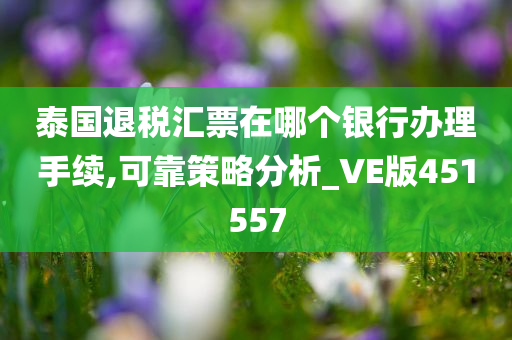 泰国退税汇票在哪个银行办理手续,可靠策略分析_VE版451557