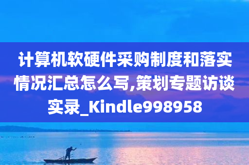 计算机软硬件采购制度和落实情况汇总怎么写,策划专题访谈实录_Kindle998958