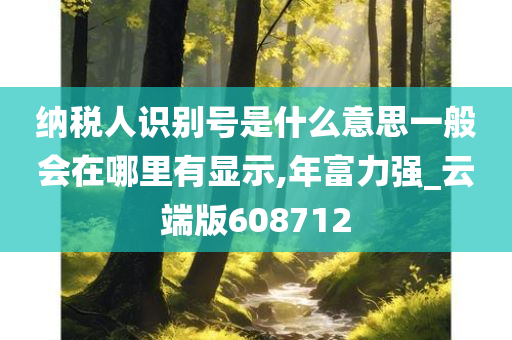 纳税人识别号是什么意思一般会在哪里有显示,年富力强_云端版608712