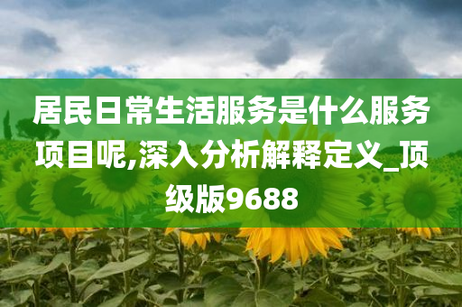 居民日常生活服务是什么服务项目呢,深入分析解释定义_顶级版9688