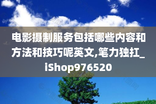 电影摄制服务包括哪些内容和方法和技巧呢英文,笔力独扛_iShop976520