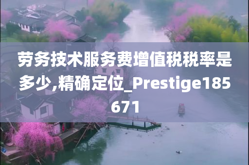 劳务技术服务费增值税税率是多少,精确定位_Prestige185671