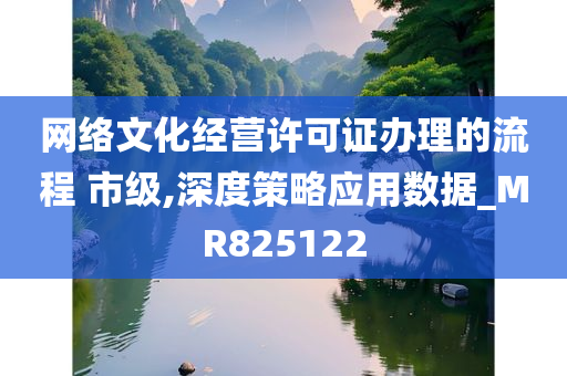 网络文化经营许可证办理的流程 市级,深度策略应用数据_MR825122