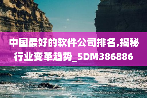 中国最好的软件公司排名,揭秘行业变革趋势_5DM386886