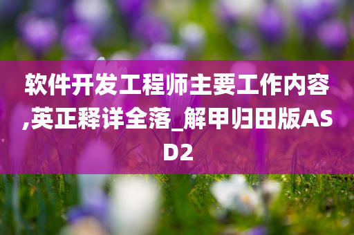 软件开发工程师主要工作内容,英正释详全落_解甲归田版ASD2