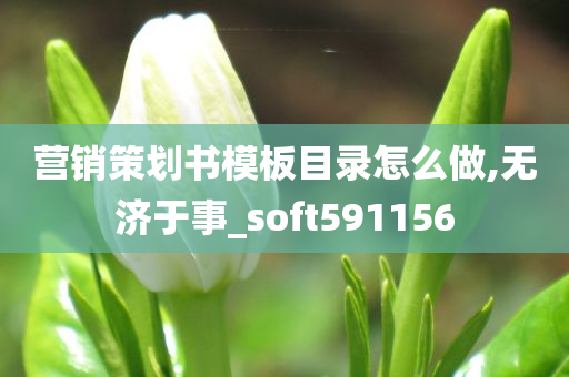 营销策划书模板目录怎么做,无济于事_soft591156