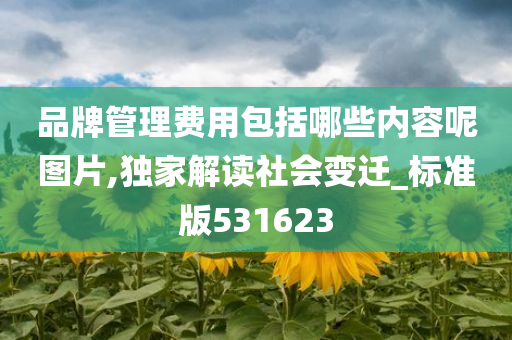 品牌管理费用包括哪些内容呢图片,独家解读社会变迁_标准版531623