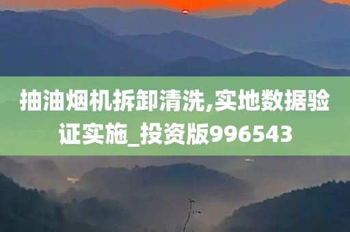 抽油烟机拆卸清洗,实地数据验证实施_投资版996543