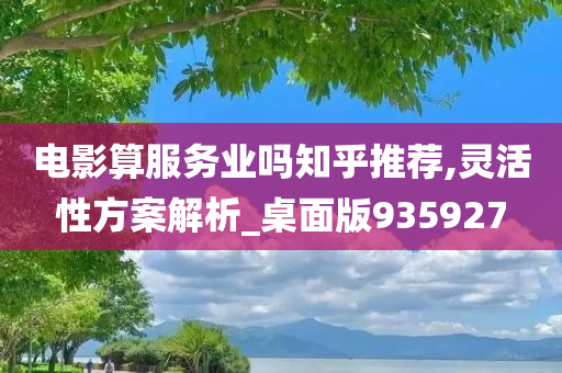 电影算服务业吗知乎推荐,灵活性方案解析_桌面版935927