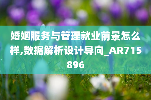 婚姻服务与管理就业前景怎么样,数据解析设计导向_AR715896