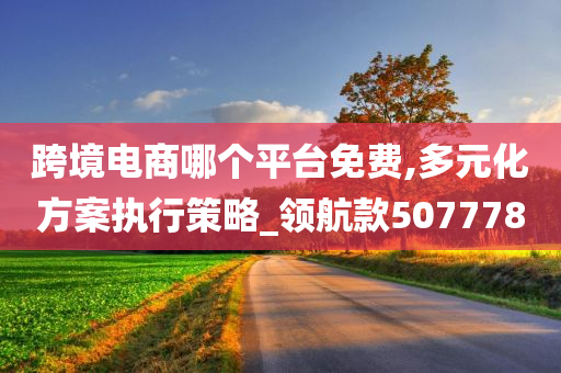 跨境电商哪个平台免费,多元化方案执行策略_领航款507778