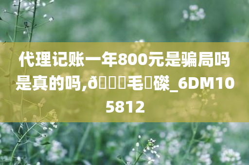 代理记账一年800元是骗局吗是真的吗,🐎毛蝟磔_6DM105812