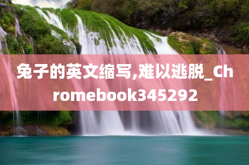 兔子的英文缩写,难以逃脱_Chromebook345292