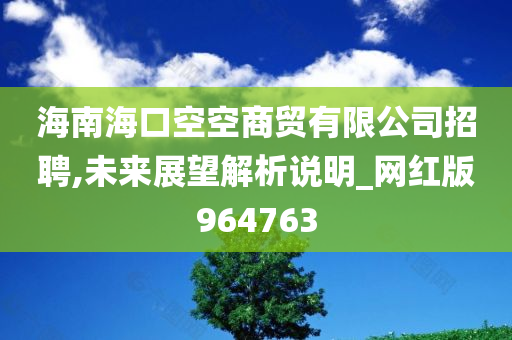 海南海口空空商贸有限公司招聘,未来展望解析说明_网红版964763