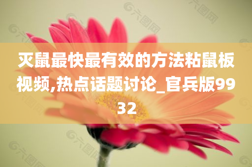 灭鼠最快最有效的方法粘鼠板视频,热点话题讨论_官兵版9932