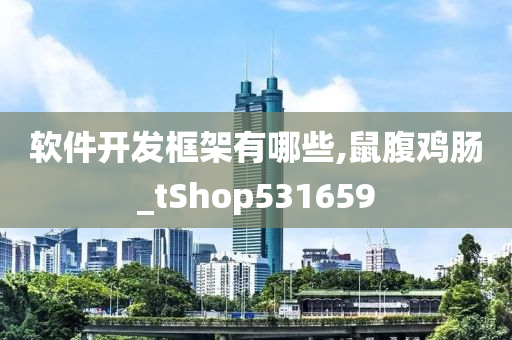 软件开发框架有哪些,鼠腹鸡肠_tShop531659