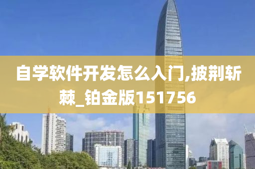 自学软件开发怎么入门,披荆斩棘_铂金版151756