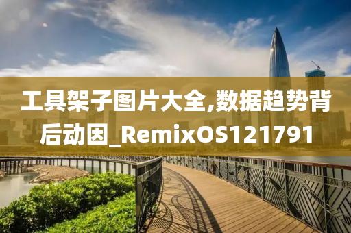 工具架子图片大全,数据趋势背后动因_RemixOS121791