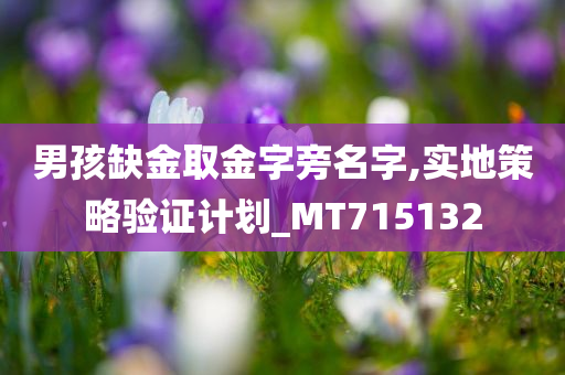 男孩缺金取金字旁名字,实地策略验证计划_MT715132