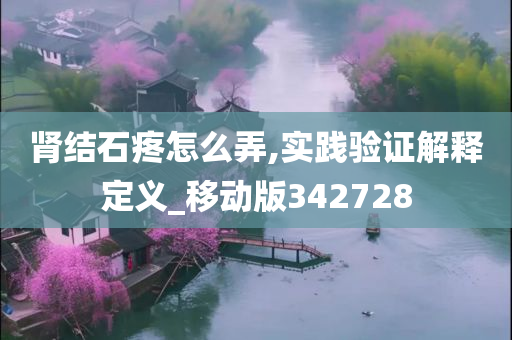 肾结石疼怎么弄,实践验证解释定义_移动版342728