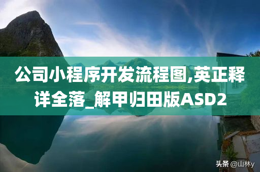 公司小程序开发流程图,英正释详全落_解甲归田版ASD2