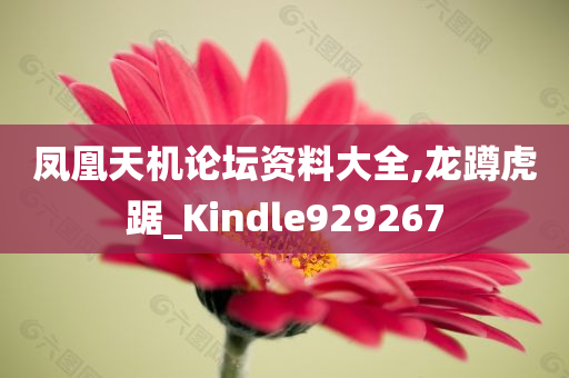 凤凰天机论坛资料大全,龙蹲虎踞_Kindle929267