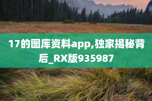 17的图库资料app,独家揭秘背后_RX版935987