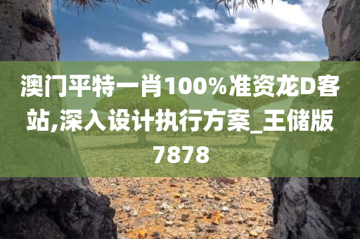 澳门平特一肖100%准资龙D客站,深入设计执行方案_王储版7878