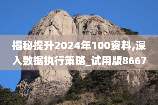 揭秘提升2024年100资料,深入数据执行策略_试用版8667