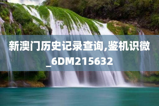 新澳门历史记录查询,鉴机识微_6DM215632