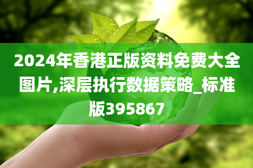 2024年香港正版资料免费大全图片,深层执行数据策略_标准版395867