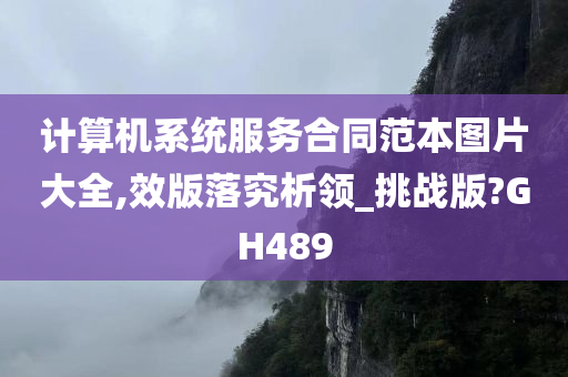 计算机系统服务合同范本图片大全,效版落究析领_挑战版?GH489