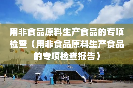 用非食品原料生产食品的专项检查（用非食品原料生产食品的专项检查报告）