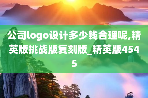 公司logo设计多少钱合理呢,精英版挑战版复刻版_精英版4545