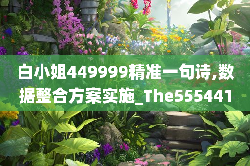 白小姐449999精准一句诗,数据整合方案实施_The555441