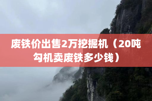 废铁价出售2万挖掘机（20吨勾机卖废铁多少钱）