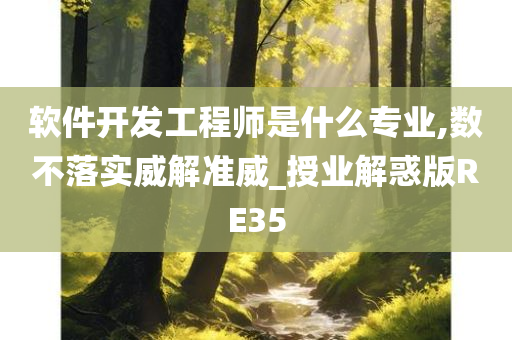 软件开发工程师是什么专业,数不落实威解准威_授业解惑版RE35