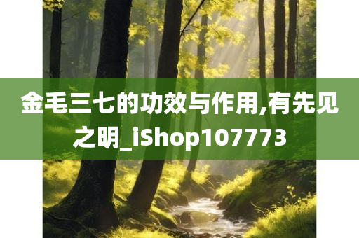 金毛三七的功效与作用,有先见之明_iShop107773