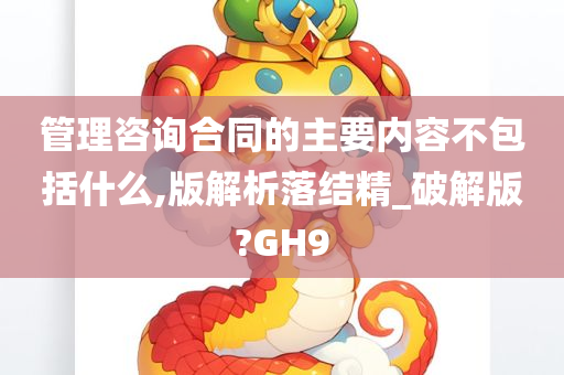 管理咨询 第31页