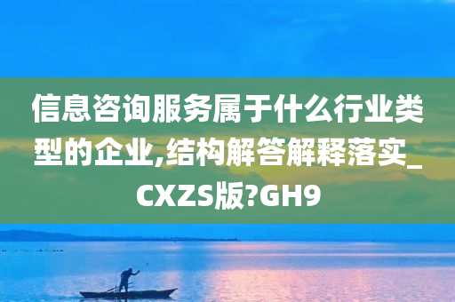 信息咨询服务属于什么行业类型的企业,结构解答解释落实_CXZS版?GH9