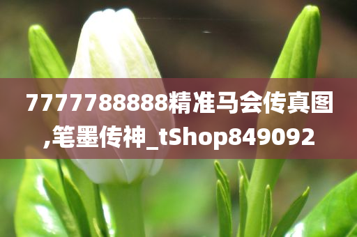 7777788888精准马会传真图,笔墨传神_tShop849092