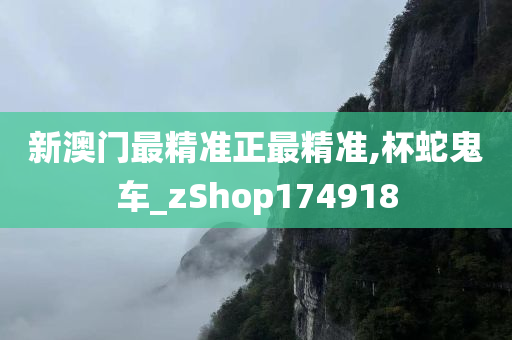 新澳门最精准正最精准,杯蛇鬼车_zShop174918