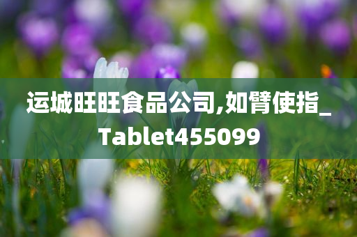 运城旺旺食品公司,如臂使指_Tablet455099