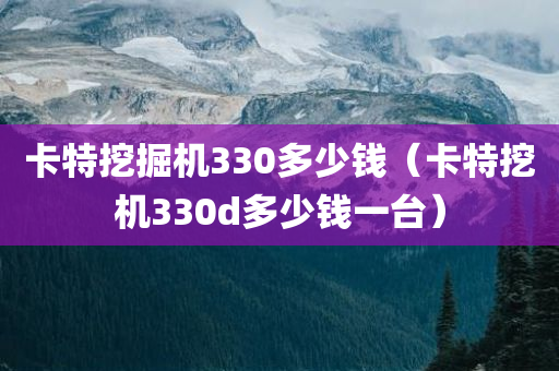 卡特挖掘机330多少钱（卡特挖机330d多少钱一台）