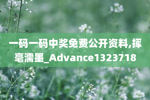 一码一码中奖免费公开资料,挥毫濡墨_Advance1323718